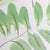 Top Imp Fougere - Vert Moyen Imprime - Femme