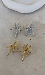 Boucles D'Oreilles Polar