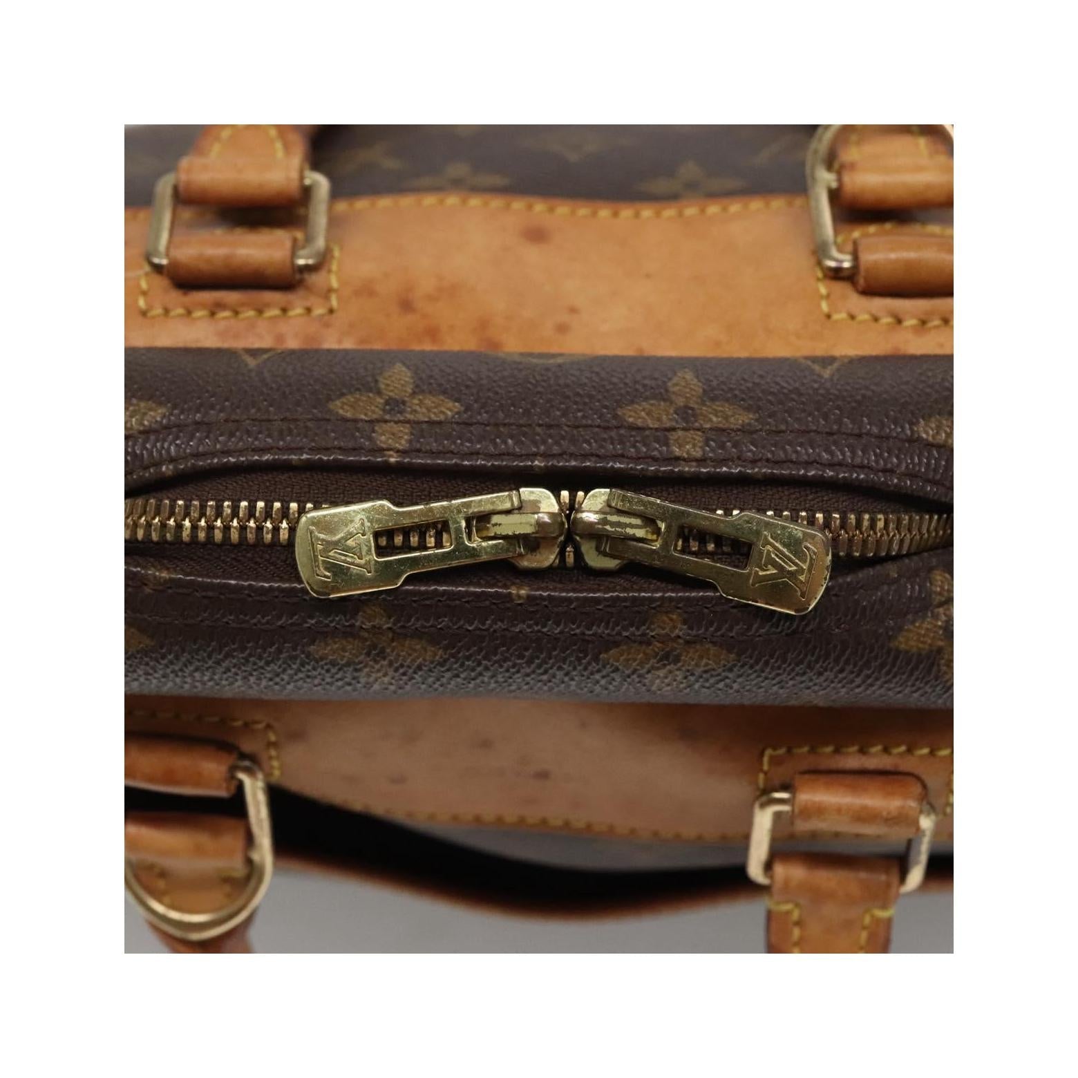 Sac À Main Louis Vuitton Marron