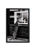 Cadre Mouluré Noir 40X30 - Cheetah 1 - Multicolore