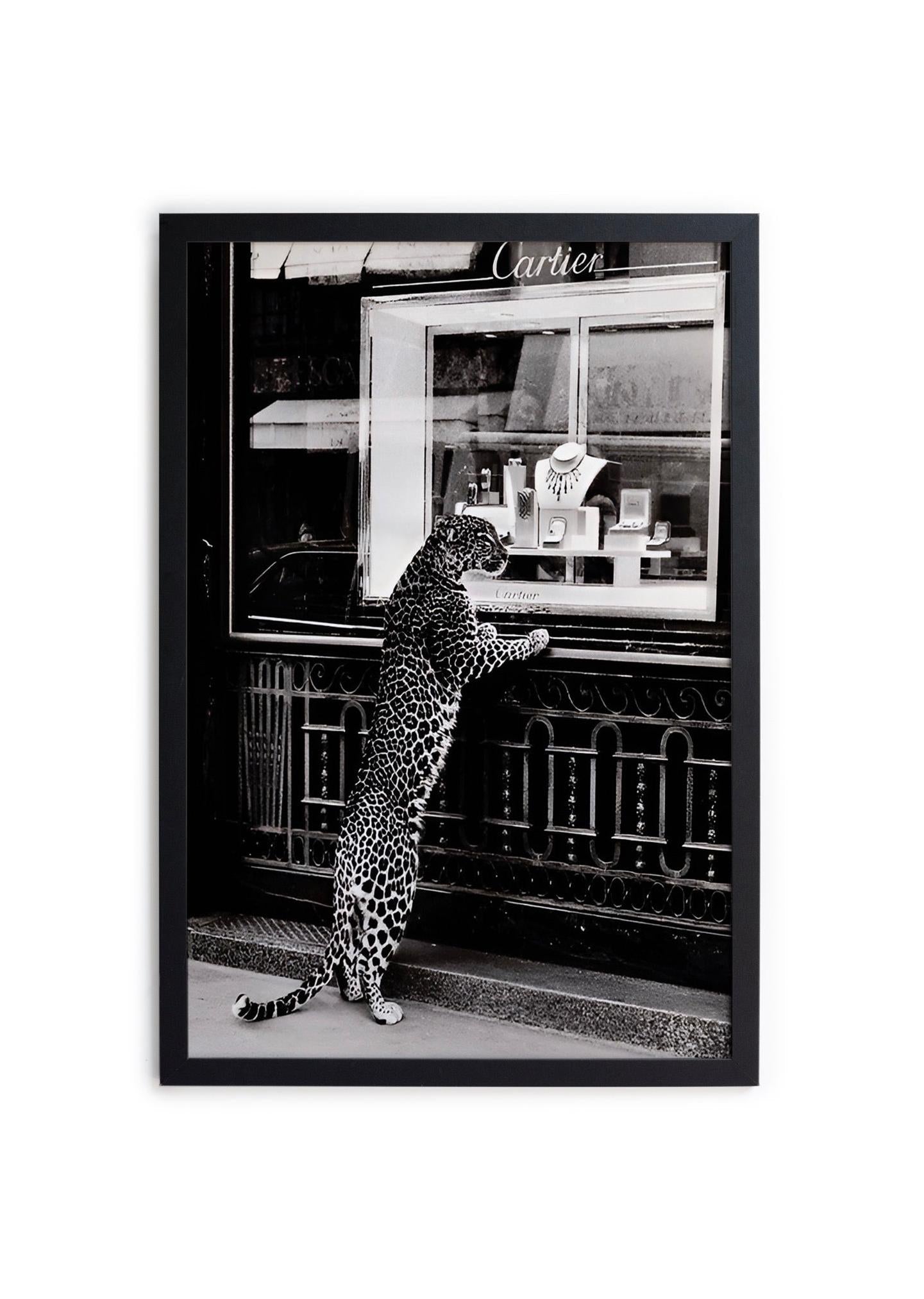 Cadre Mouluré Noir 40X30 - Cheetah 1 - Multicolore