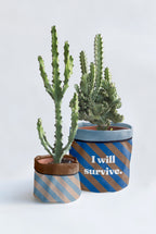 Cache-Pot "I will Survive"