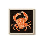 Enikő Eged - Spotted Calico Crab