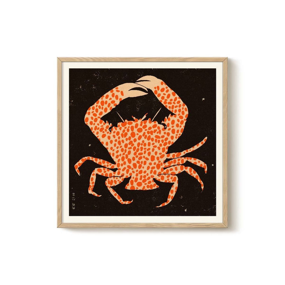 Enikő Eged - Spotted Calico Crab