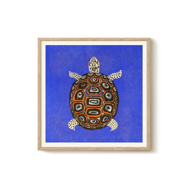 Enikő Eged - Turtle Blue