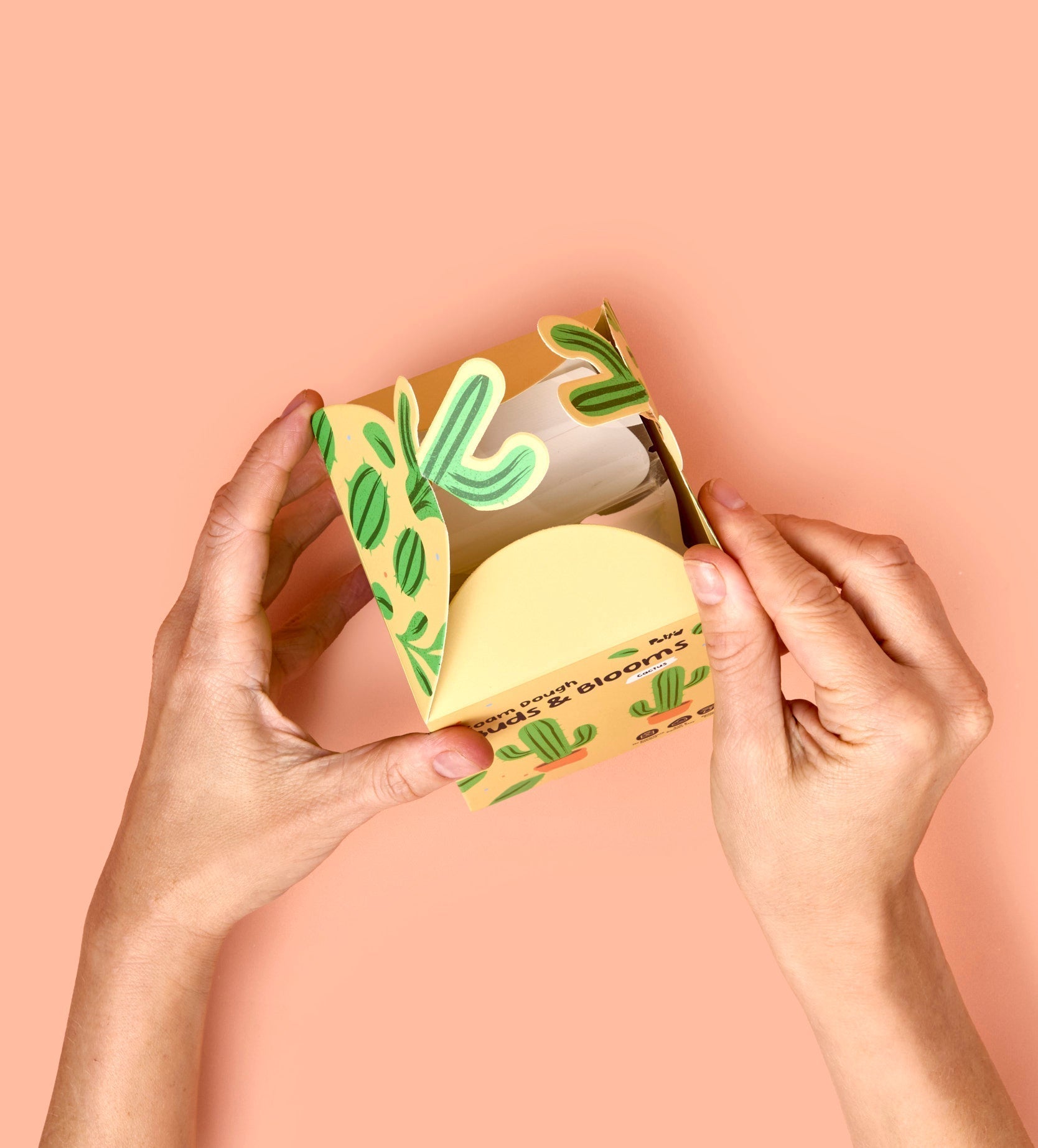 Pâte À Modeler - Bourgeons & Fleurs : Cactus