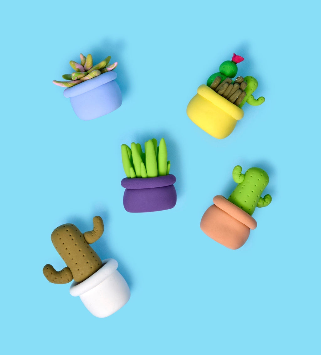Pâte À Modeler - Bourgeons & Fleurs : Succulentes