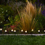 Champy - Décoration Lumineuse Solaire - Plastique - Blanc