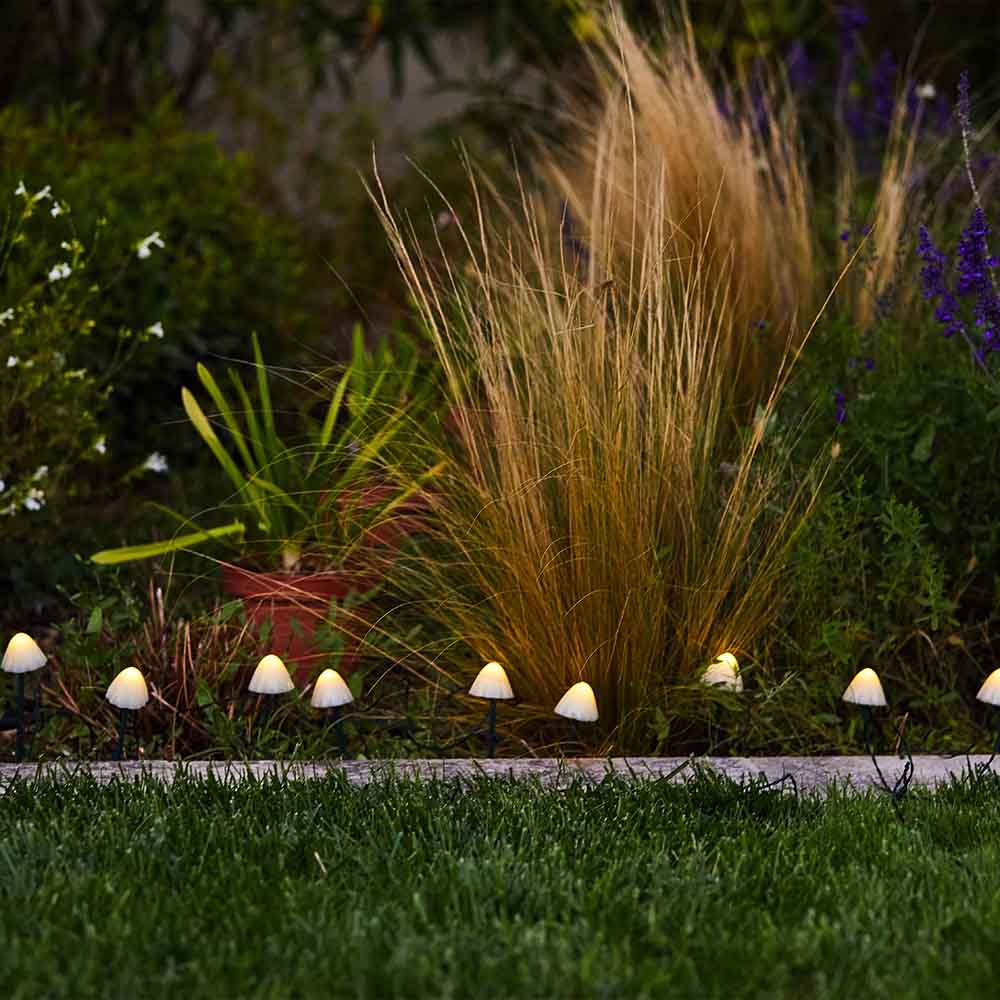 Champy - Décoration Lumineuse Solaire - Plastique - Blanc