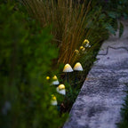Champy - Décoration Lumineuse Solaire - Plastique - Blanc