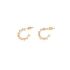 Boucles D'Oreilles Créoles