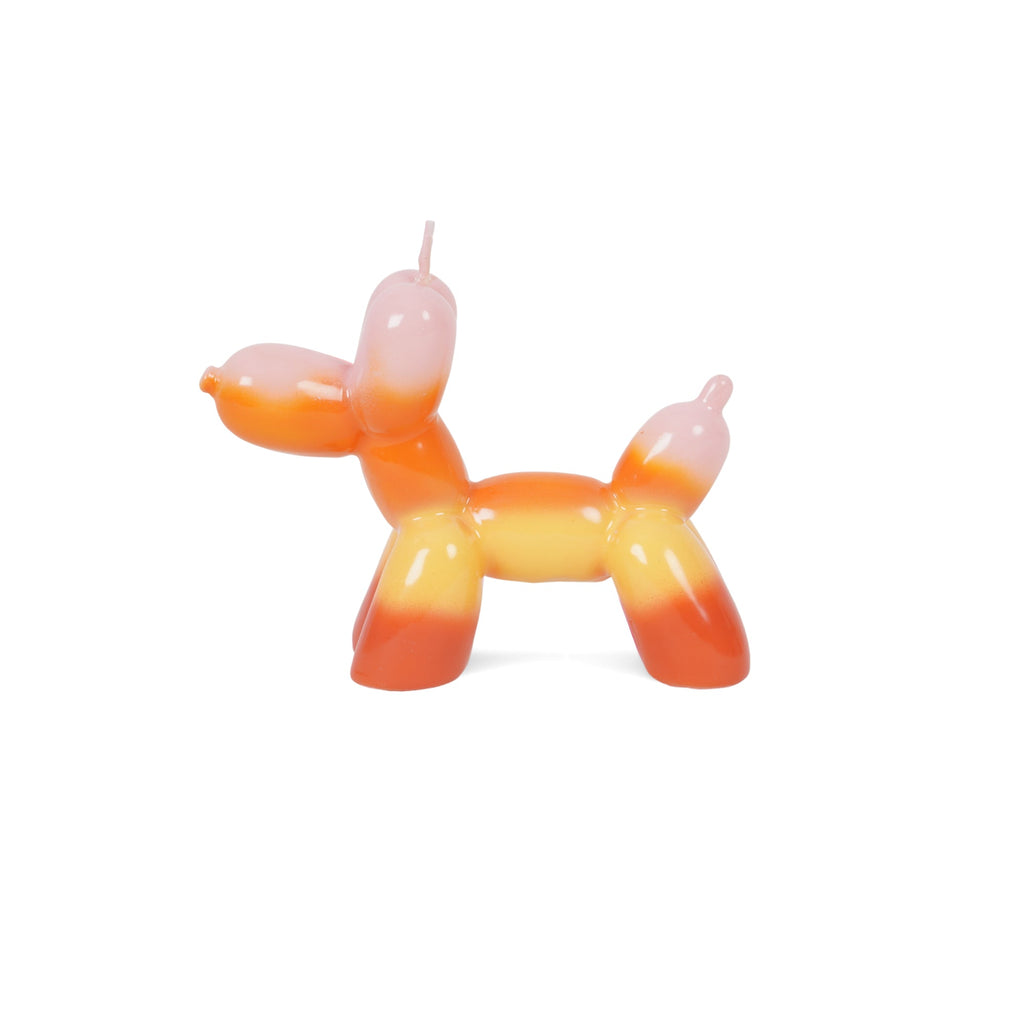 Bougie Pour Chien Ballon Coucher De Soleil