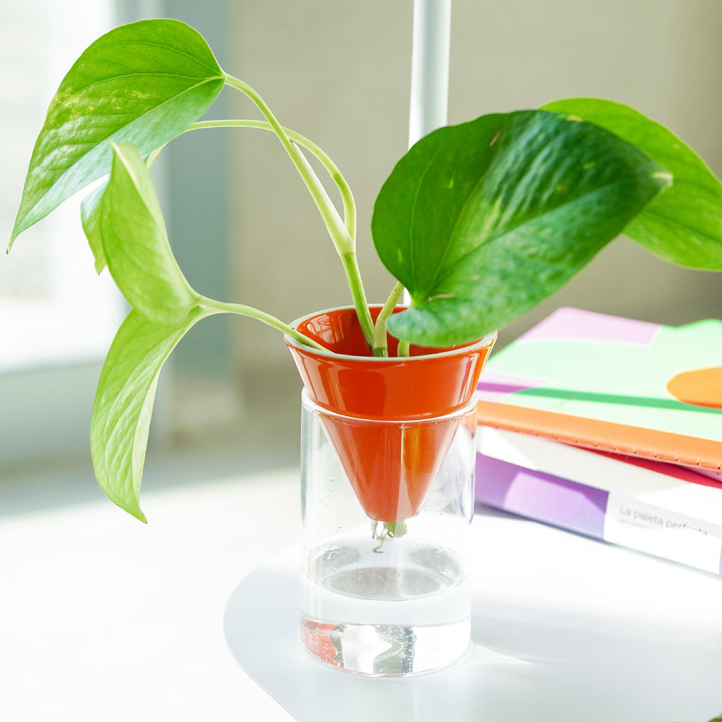 Vase Hydroponique En Forme De Cône D'Orange