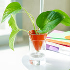 Vase Hydroponique En Forme De Cône D'Orange
