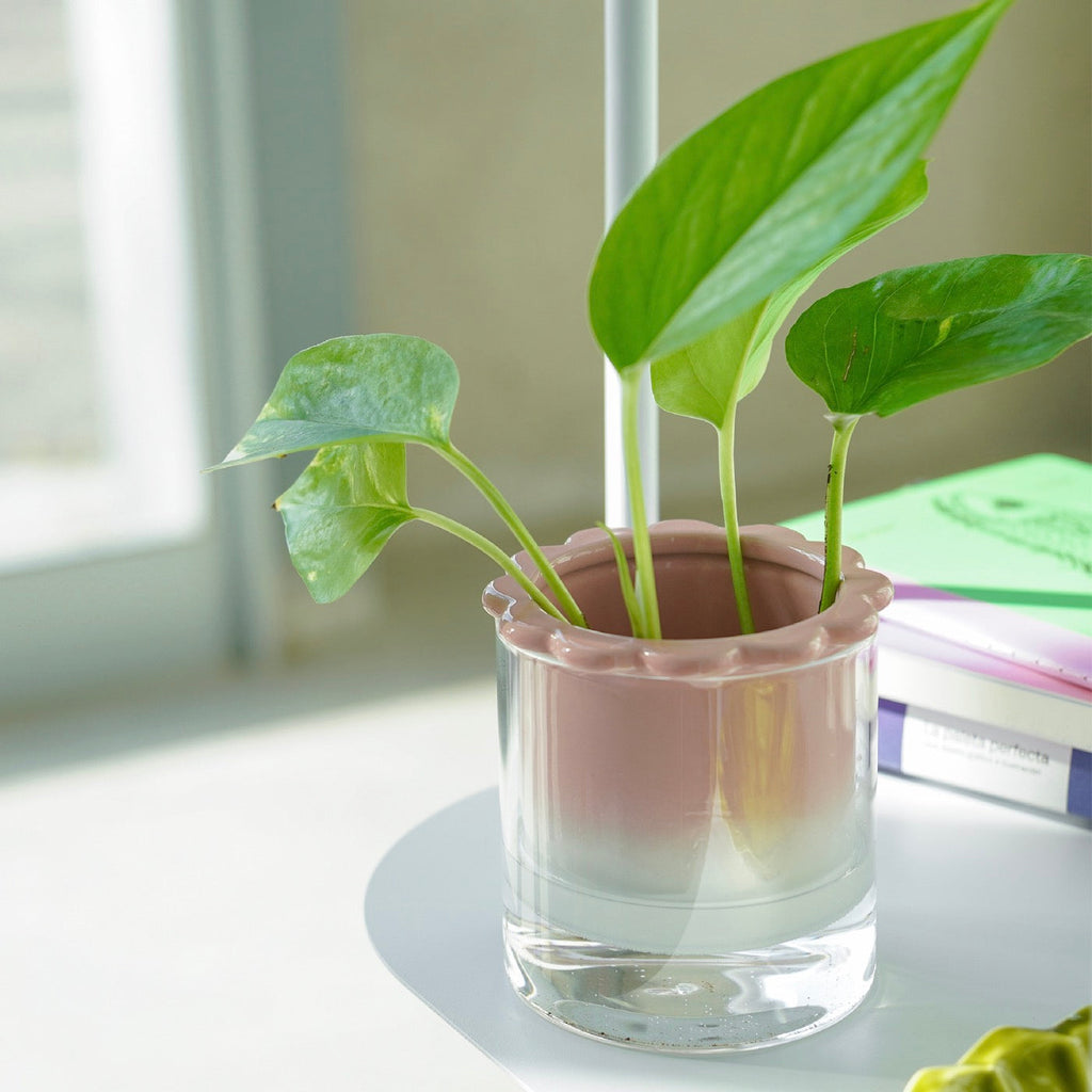 Vase Hydroponique Dalia