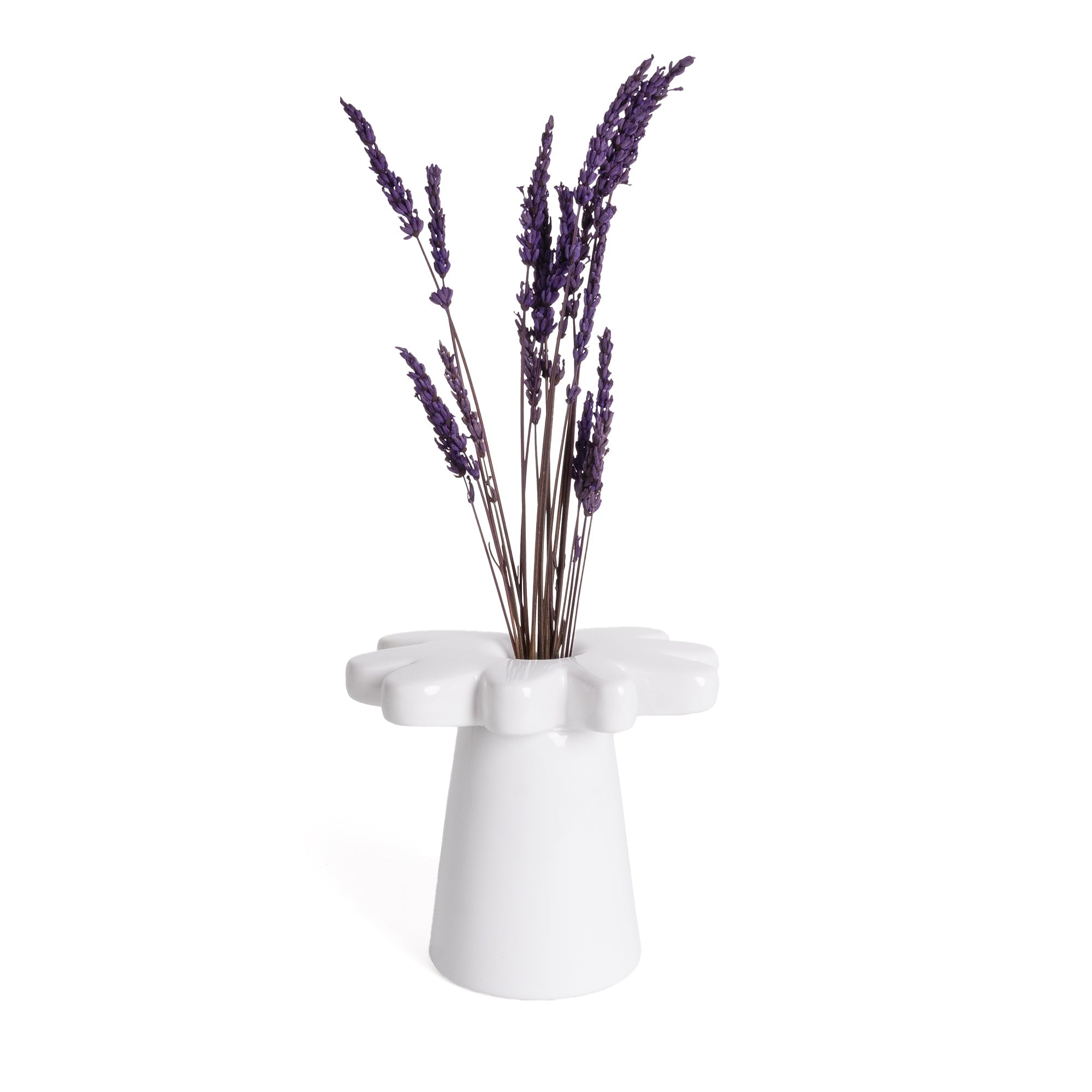 Vase Marguerite Blanche