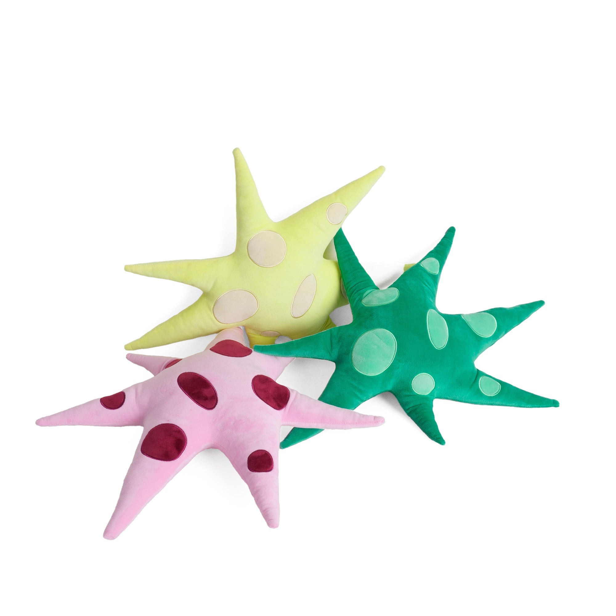 Coussin Green Polar Star