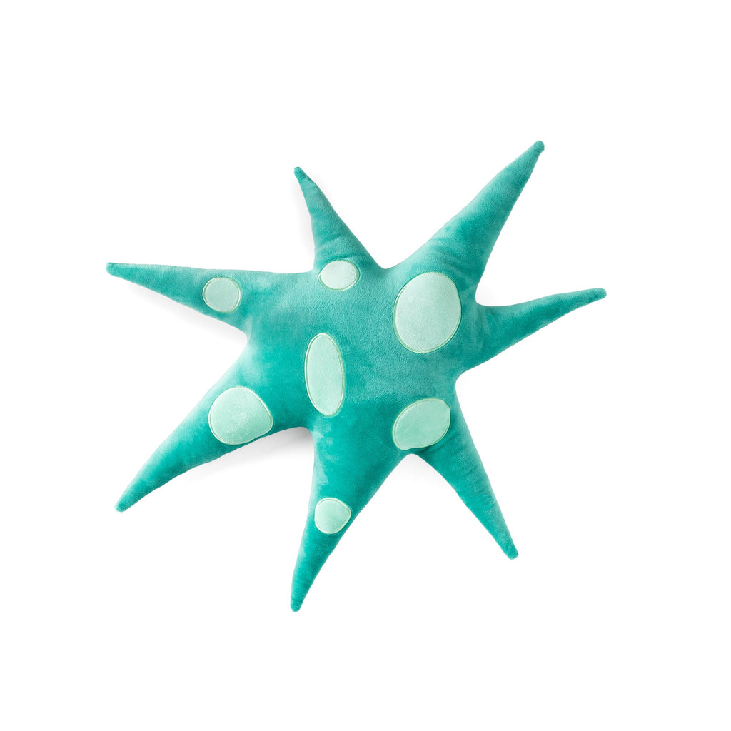 Coussin Green Polar Star