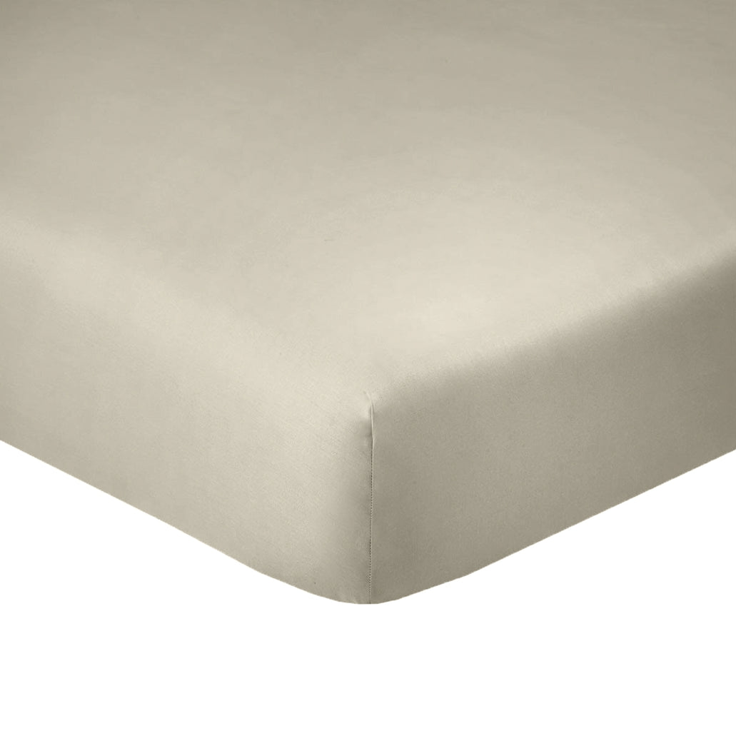 Drap Housse - 100% Coton 57 Fils - Latte