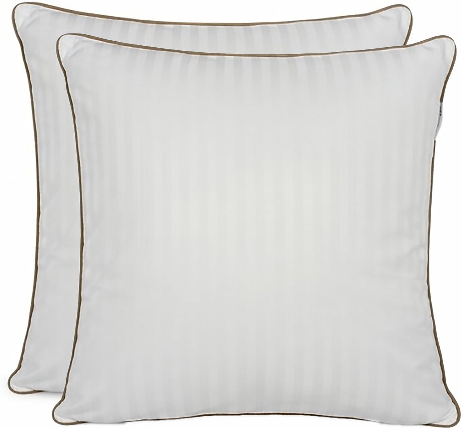 Lot De 2 Oreillers Plume De Canard - Blanc