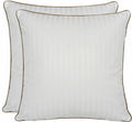 Lot De 2 Oreillers Plume De Canard - Blanc