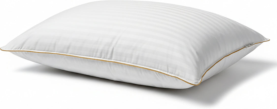 Lot De 2 Oreillers Plume De Canard - Blanc