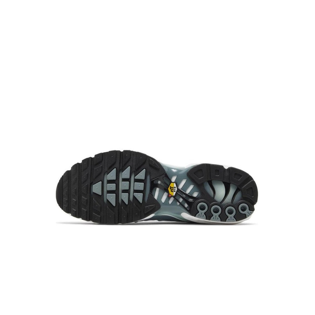 Air Max Plus Origins Waterway