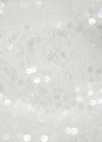Sac Porté Épaule Paillettes