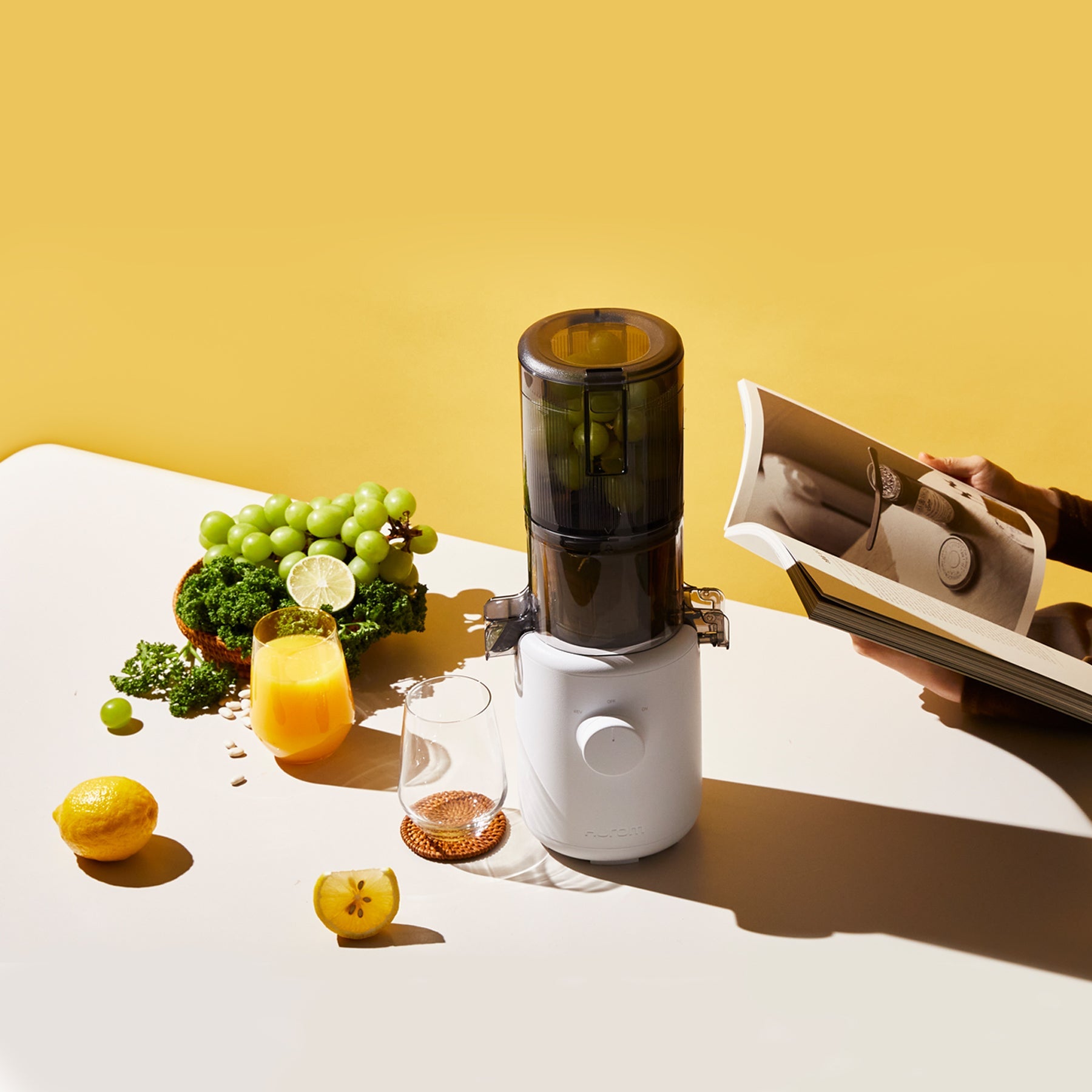 Mini Extracteur De Jus Lent - Série H310A - Blanc