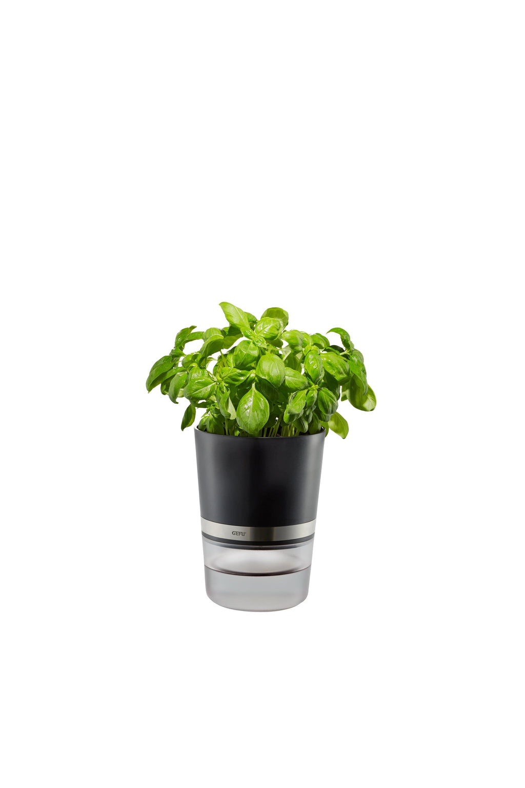 Botanico - Pot D’Herbes Aromatiques - Noir/Transparent