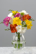 Mélange De 100 Freesias Doubles – Plante D’Extérieur