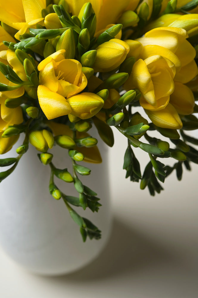 Mélange De 100 Freesias Doubles – Plante D’Extérieur