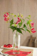 Lot De 3 Tubercules De Gloriosa Rothschildiana – Plante D’Extérieur