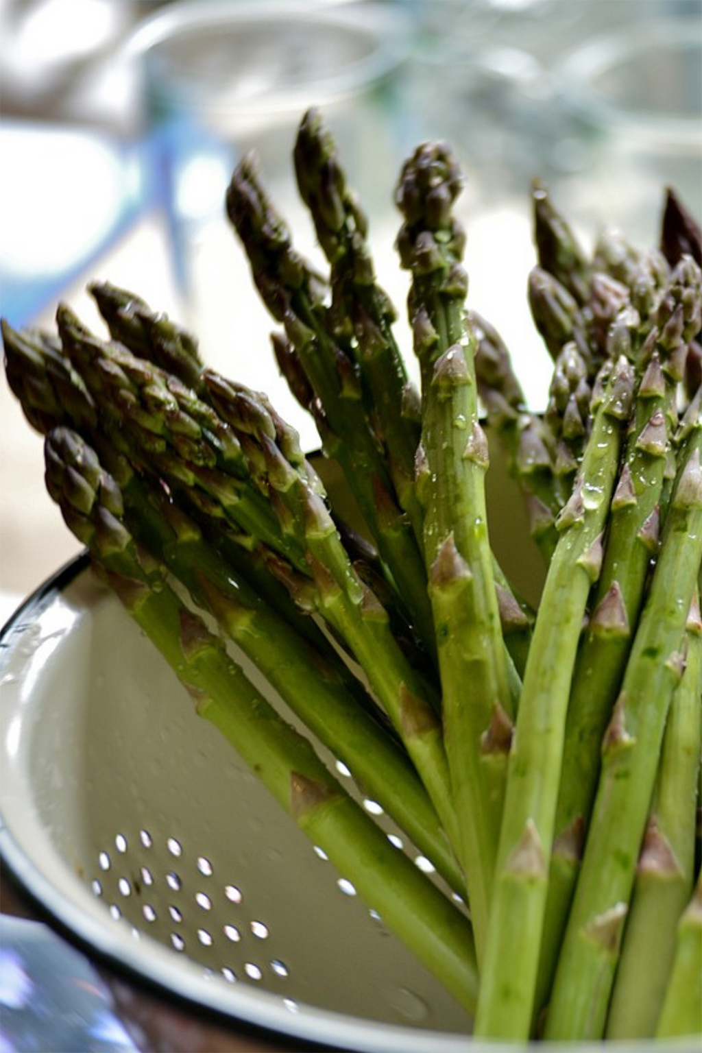Lot De 3 Asperges ‘Gijnlim’ – Plante D’Extérieur