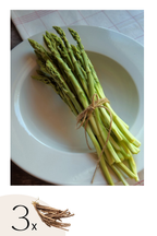 Lot De 3 Asperges ‘Gijnlim’ – Plante D’Extérieur
