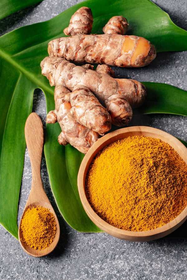 Lot De 2 Curcuma Longa – Plante D’Extérieur