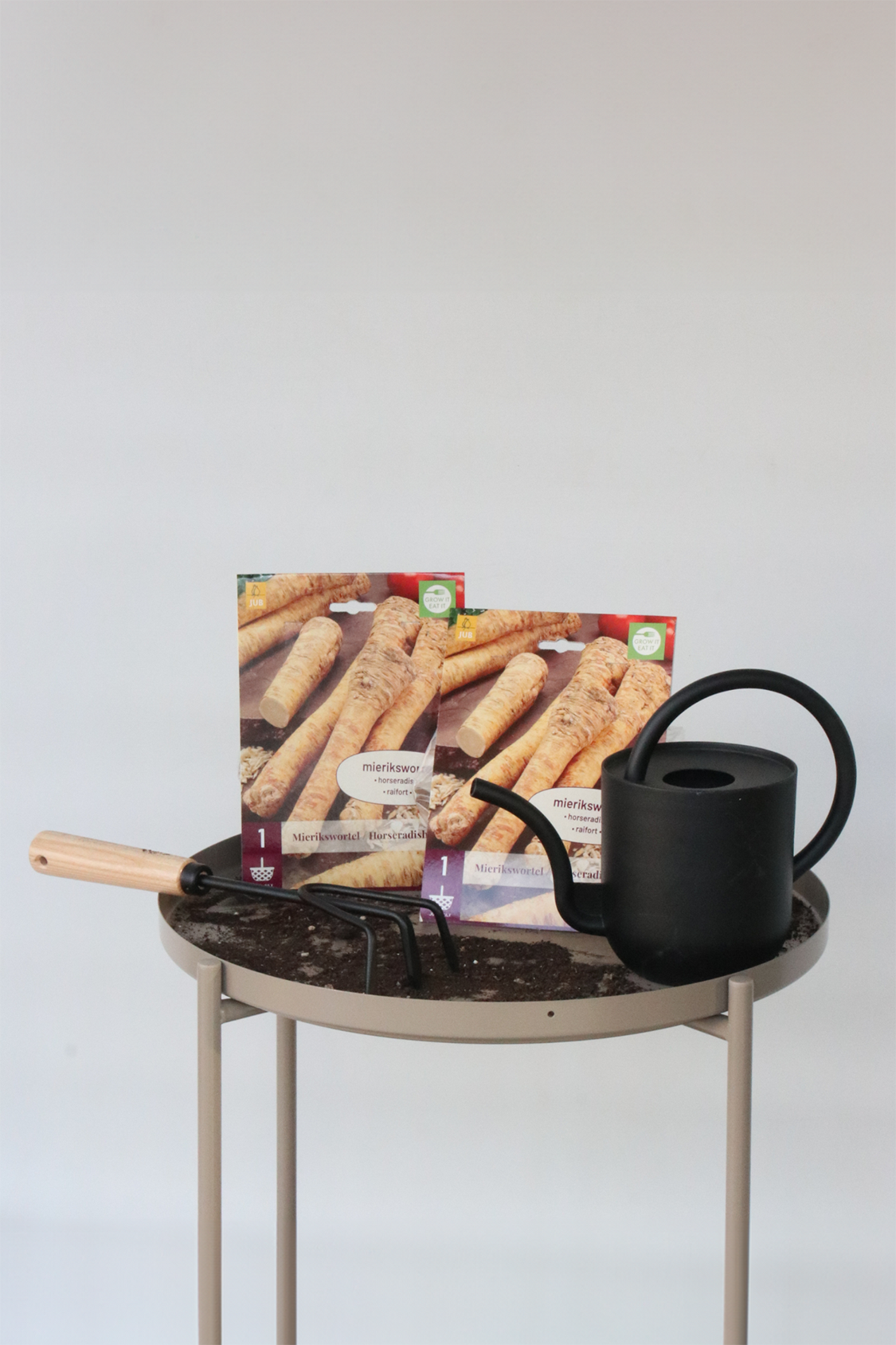 Lot De 2 Raiforts – Plante D’Extérieur