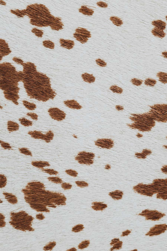 Porte-Carte Rémy Cow