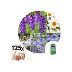 Mélange De 125 Bulbes D’Été Bleus – Plante D’Extérieur