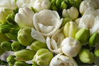 Mélange De 125 Bulbes D’Été Roses – Plante D’Extérieur