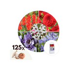 Mélange De 125 Bulbes Des Pays-Bas – Plante D’Extérieur