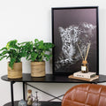 Lot De 2 Monstera Monkey Mask – Plante D'Intérieur