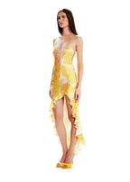 Robe Valentina Wild Roses