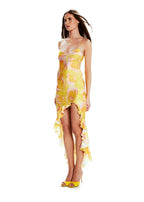 Robe Valentina Wild Roses