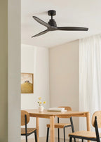 Wind Stylance - Ventilateur De Plafond Silencieux De 40W Avec Pales En Abs Technique - Noir