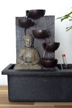 Bonsaï Cascade ‘Bouddha’ – Plante D’Intérieur
