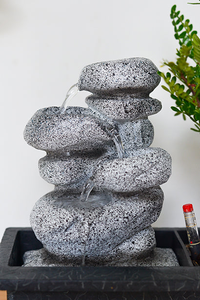 Bonsaï Cascade ‘Pierres’ – Plante D’Intérieur