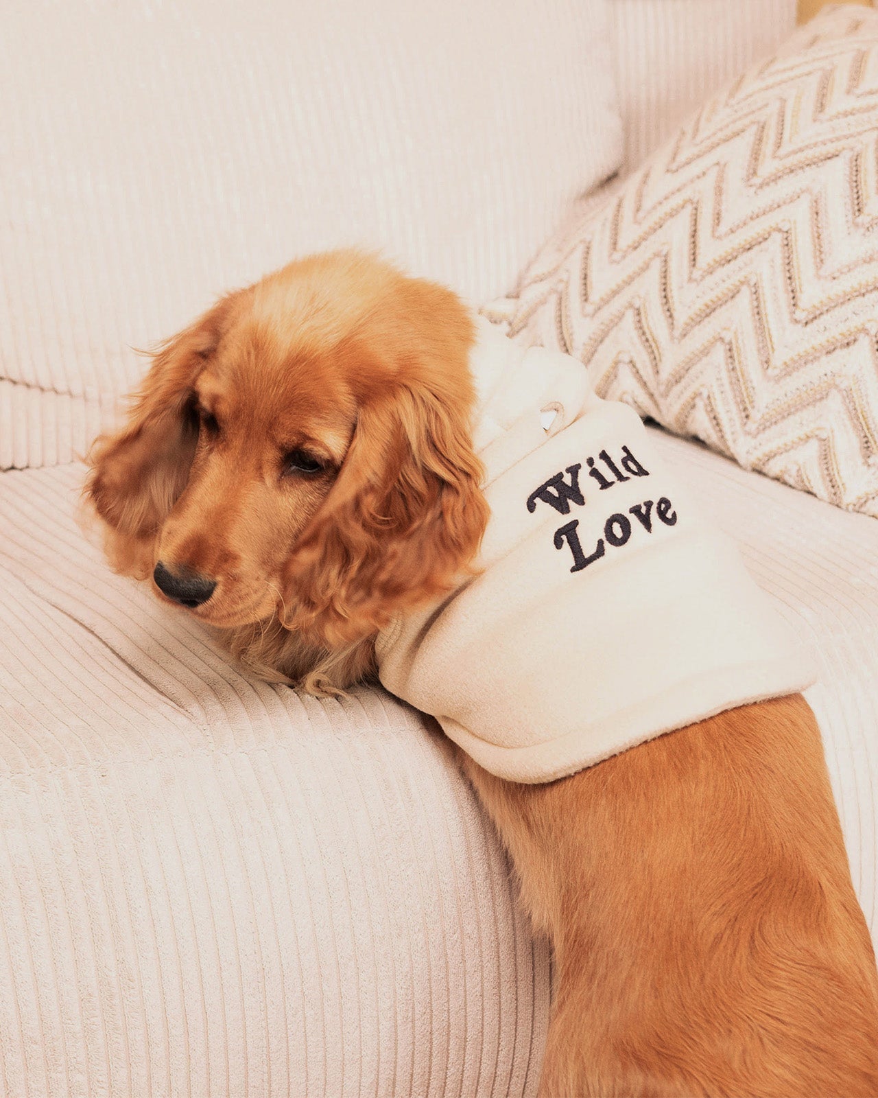 La Veste Pour Chien Wild Love En Polaire Recyclée - Latte