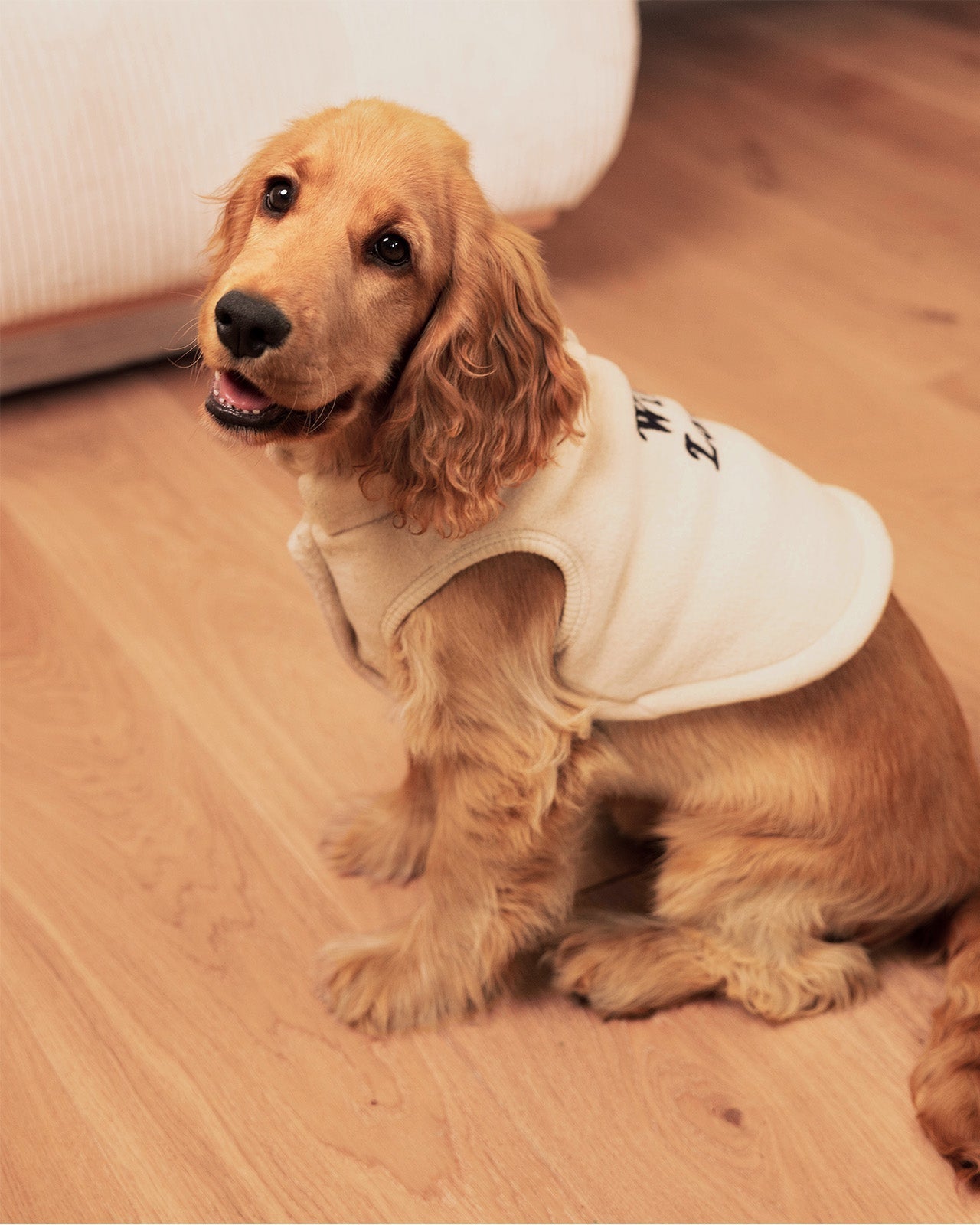 La Veste Pour Chien Wild Love En Polaire Recyclée - Latte