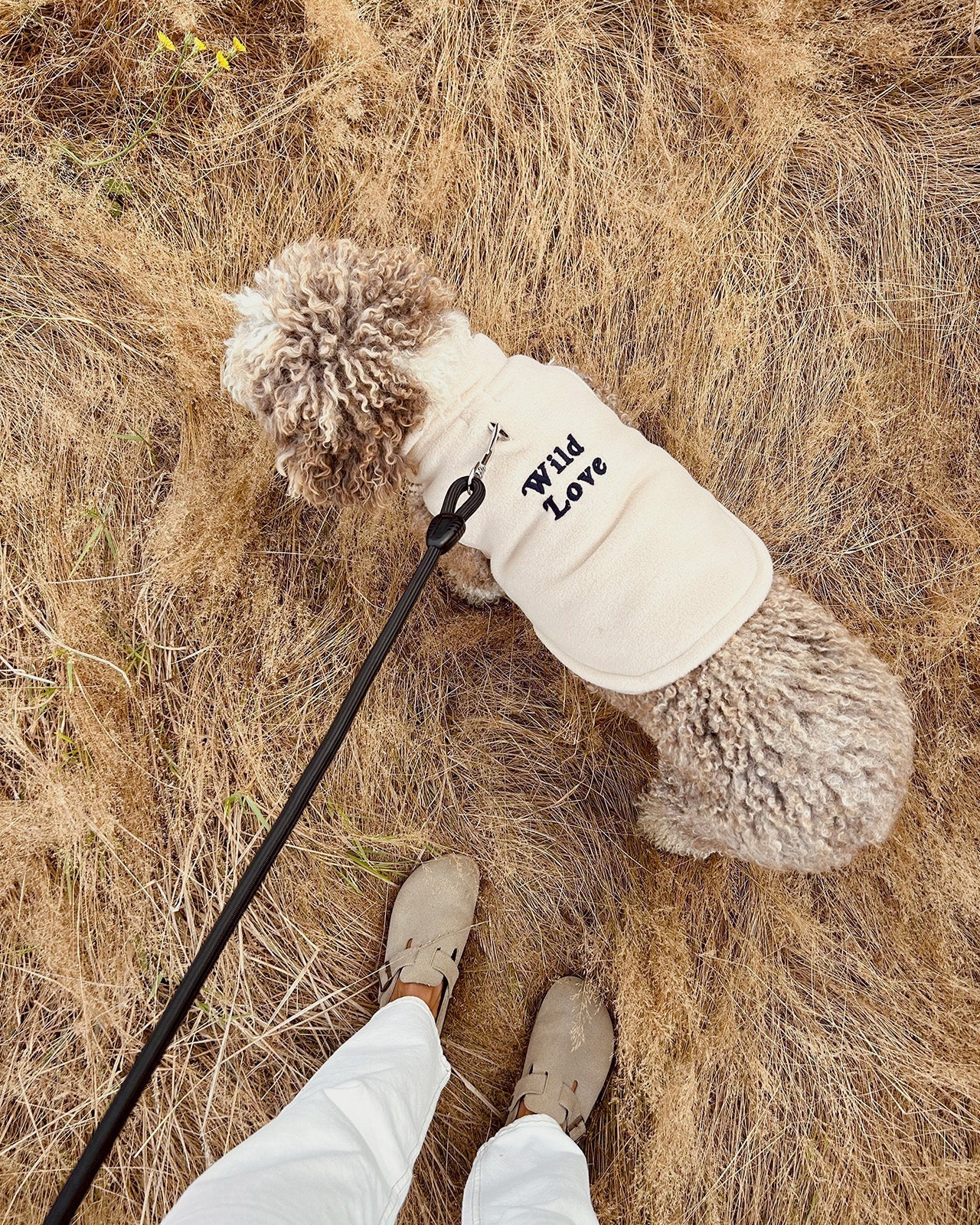 La Veste Pour Chien Wild Love En Polaire Recyclée - Latte